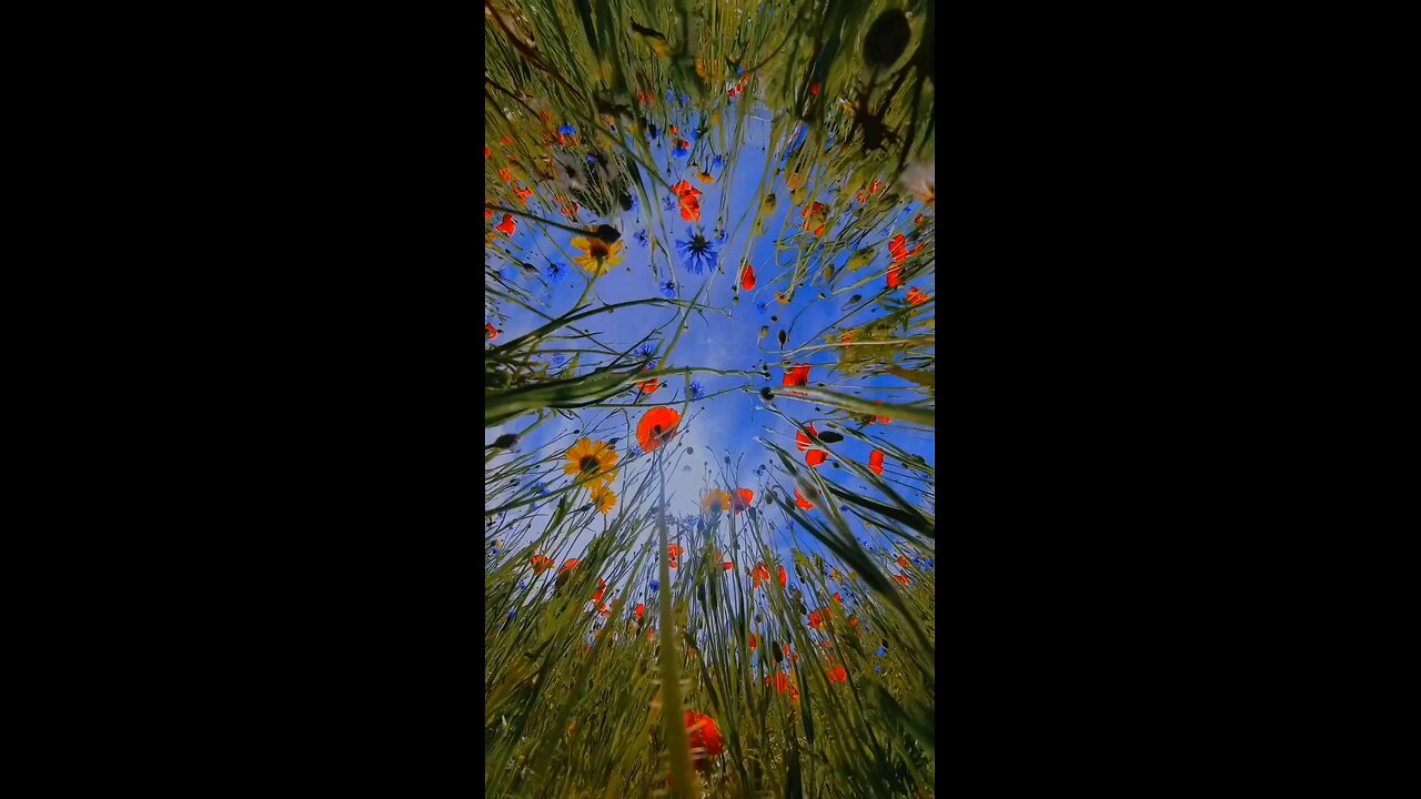 #foryoupage#viralvideo