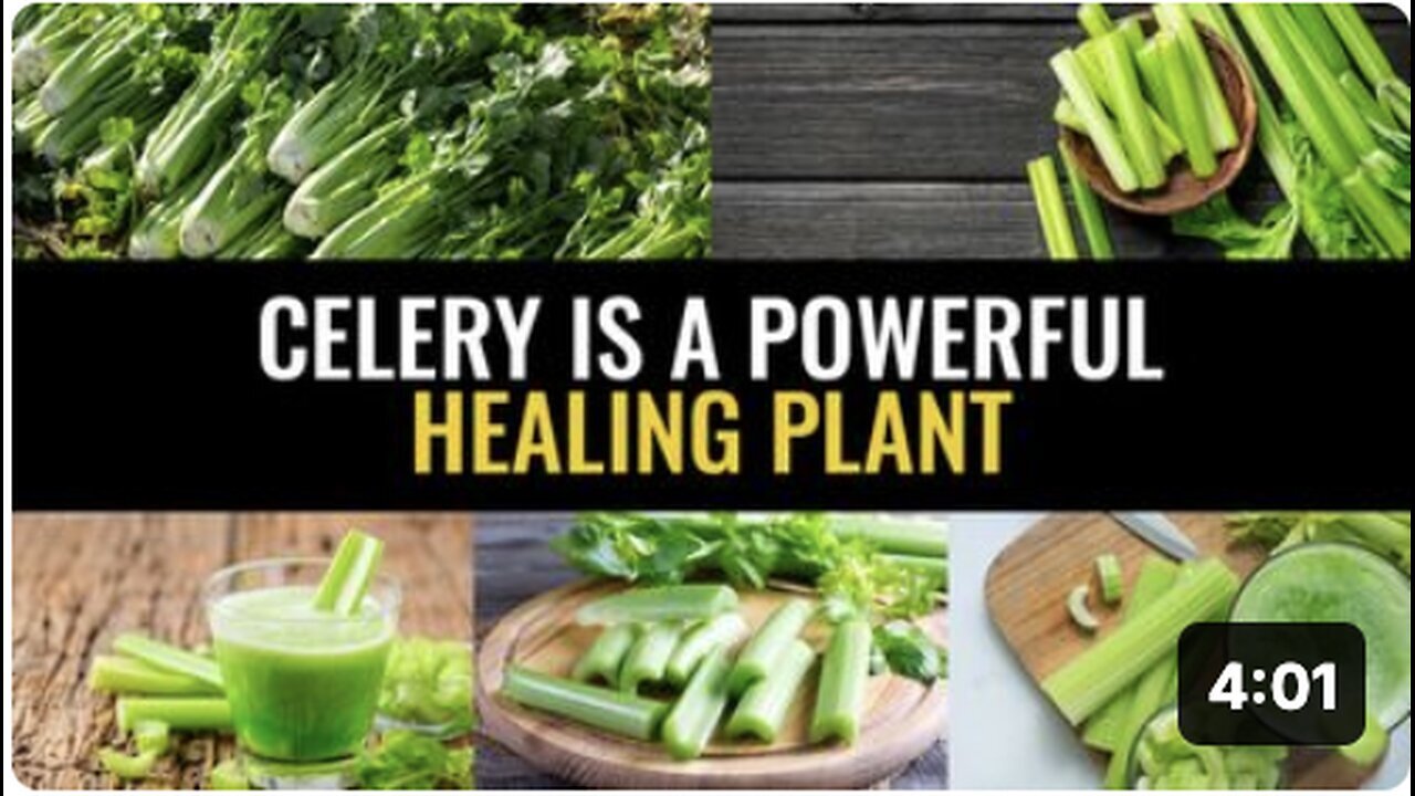 "The Mighty Healing Powers of Celery"