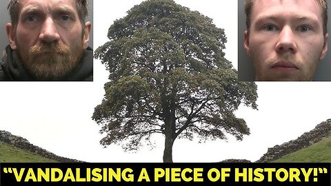 Mindless destruction. Sycamore Gap tree cutters found guilty
