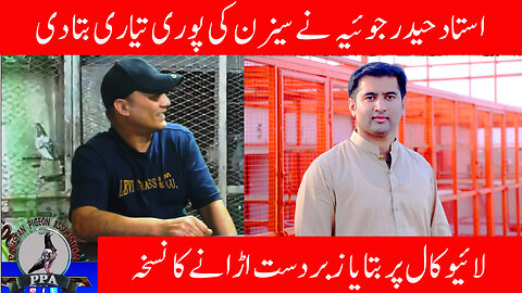 Ustad Haider Joyia Explained How To Prepare Pigeons For Competition In The Season Watch In HD Urdu