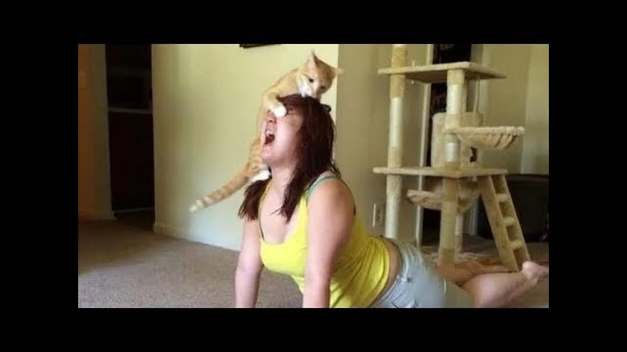 ANIMAL VIDEOS SO FUNNY that you will NEVER FORGET THEM! - LAUGH NOW!