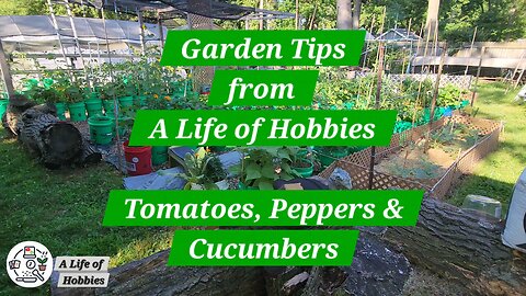 Back On The Bucket Farm: Tips for a bigger harvest and healthier plants.