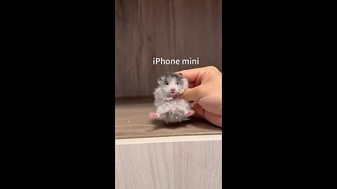 Hamsters and iPhones: The Perfect Blend of Technology and Cuteness