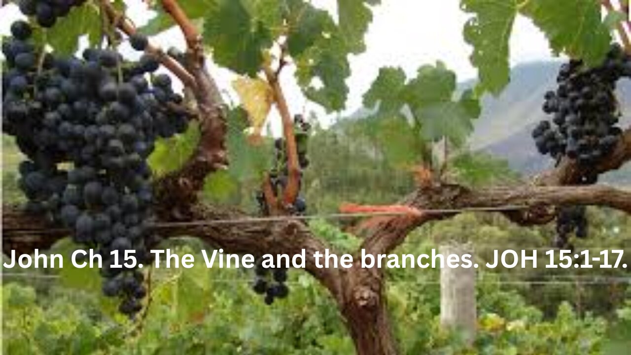 John Ch 15. The Vine and the branches. JOH 15:1-17.