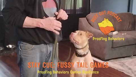 George and the Stay Cue 5 fussy tails