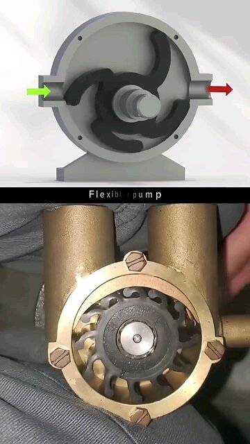 Flexible impeller pump