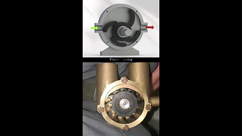 Flexible impeller pump