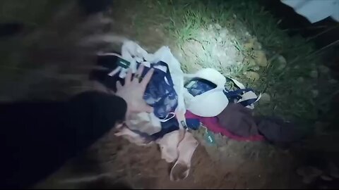 Sydney Sweeney hung bras on the iconic Hollywood sign in Los