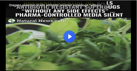 "Oregano Essential Oil: A Potential Killer of Antibiotic-Resistant Superbugs"