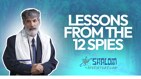 Numbers 13 & 14 Deuteronomy 1: Spying the Land | Shalom Adventures