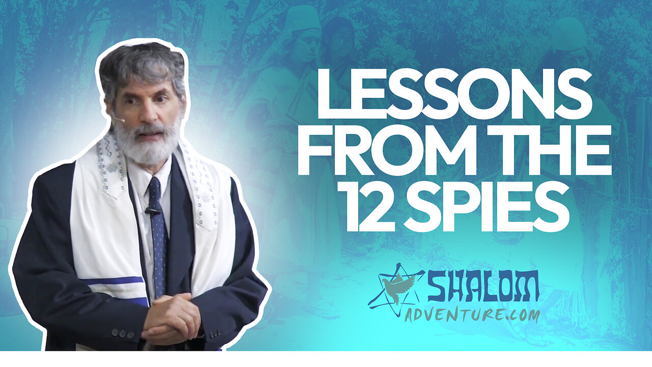 Numbers 13 & 14 Deuteronomy 1: Spying the Land | Shalom Adventures