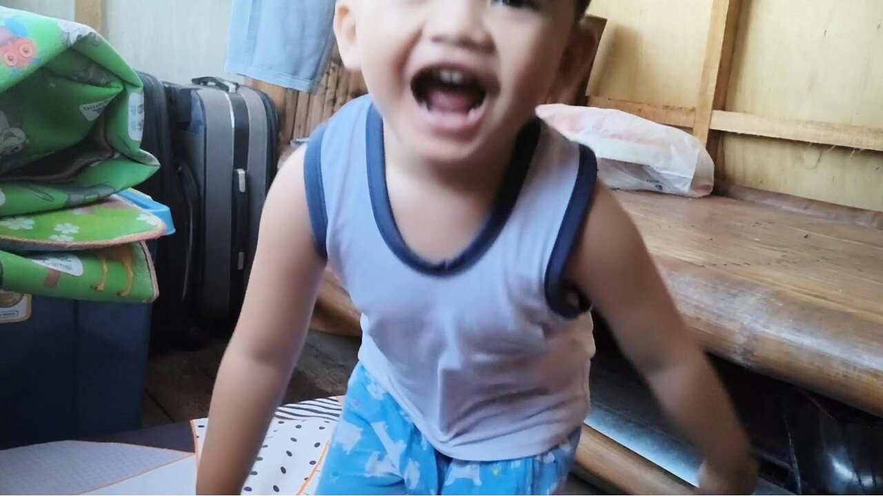 Grey Jumps on the Bed