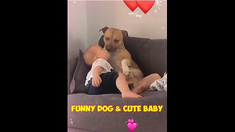 Funny Dog & Cute Baby