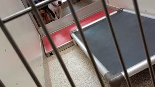 VID_20250827_162559173