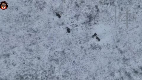 Russian Ukrainian War