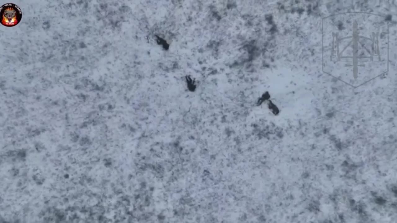 Russian Ukrainian War