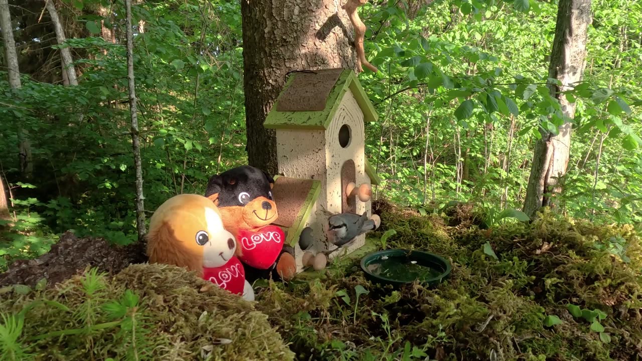 ChatGPT's AI powered image generator - Studio Ghibli