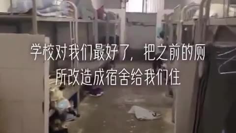 🤯✨ You Won't Believe How Dorms in China Are Designed! | FeedMyCuriosity