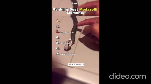 Funniest Medazelli🤣#ranking #medazelli #tiktok