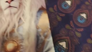 Oracle Card Reading 1/30/26