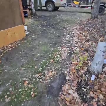 Winter Prep_ Protecting Plants from the Cold #livingoffgrid