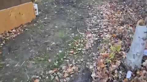 Winter Prep_ Protecting Plants from the Cold #livingoffgrid