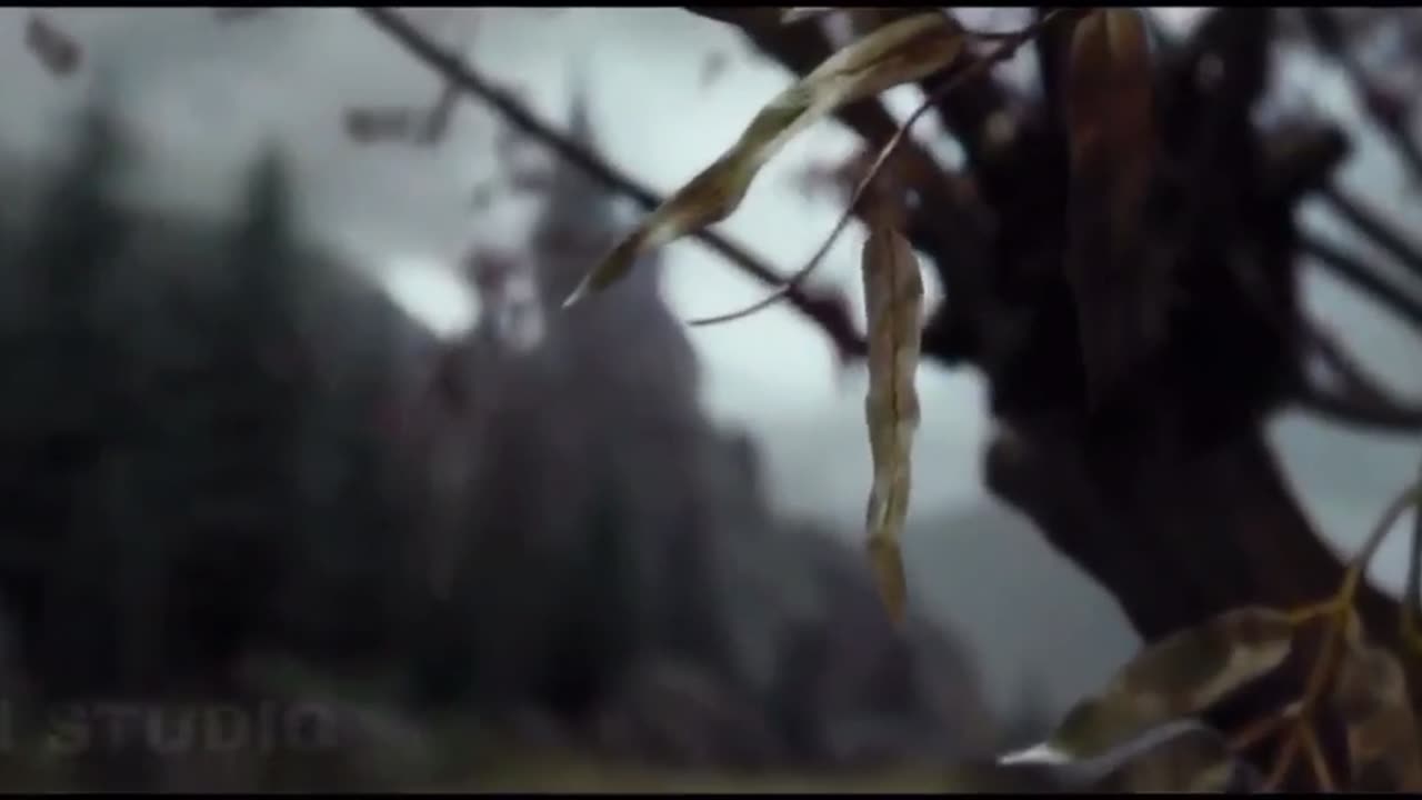 Harry Potter new trailer 2025