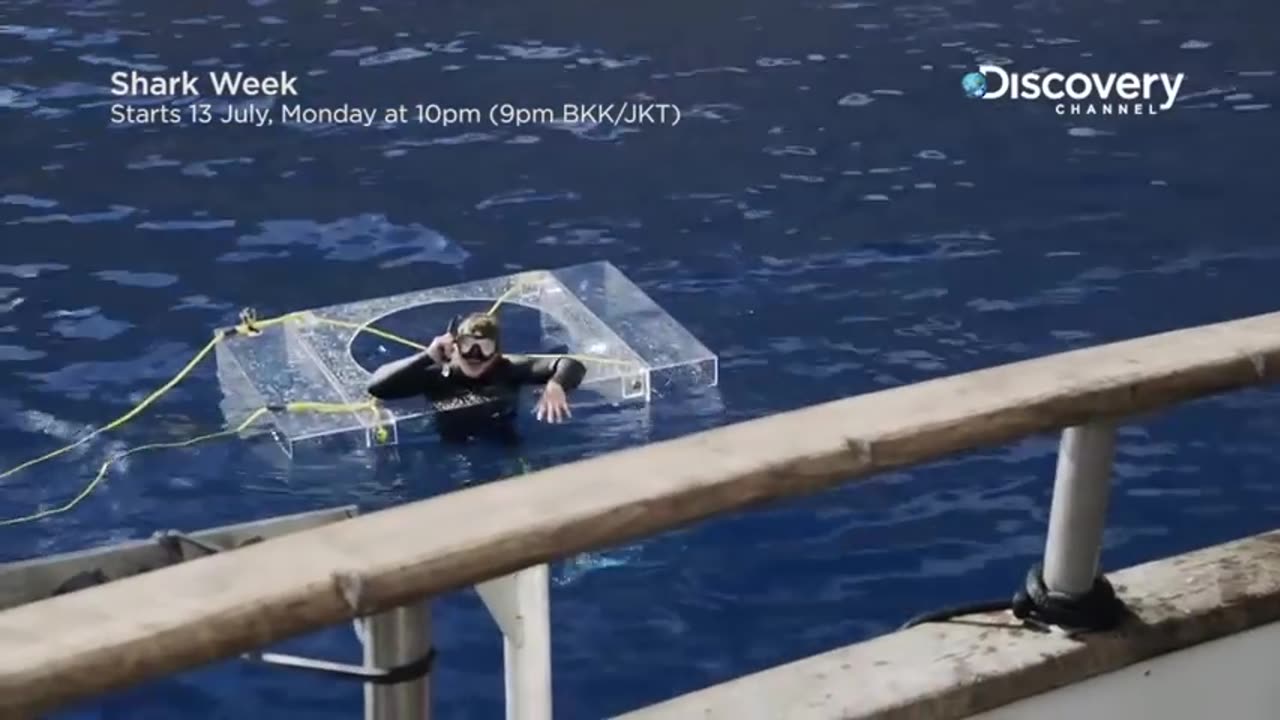 Great White Attacks Ghost Cage Island of the Mega Shark