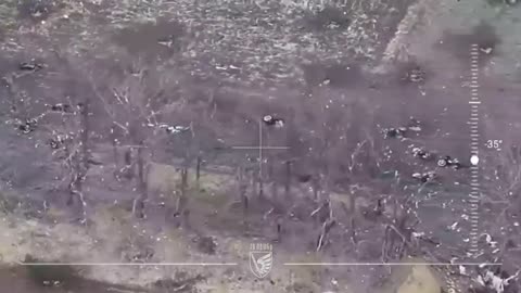 Brutal Drone Strikes by Ukrainian Paratroopers