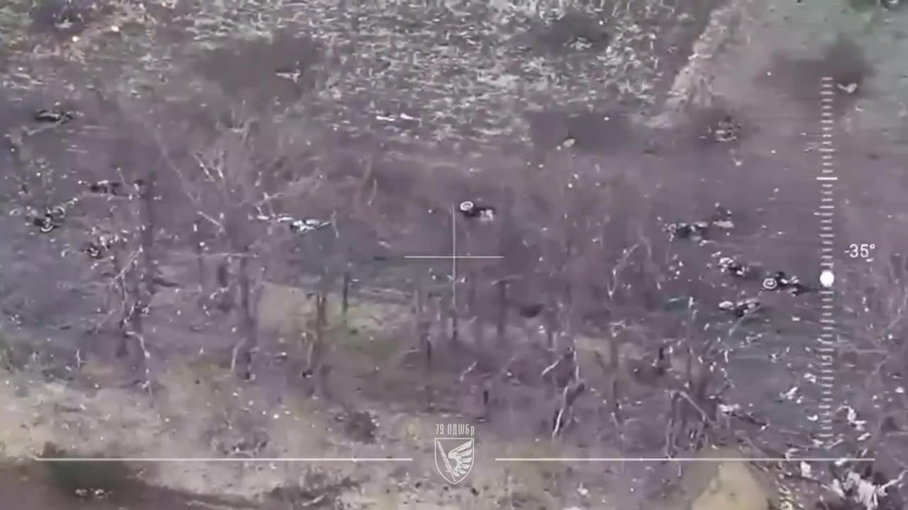 Brutal Drone Strikes by Ukrainian Paratroopers