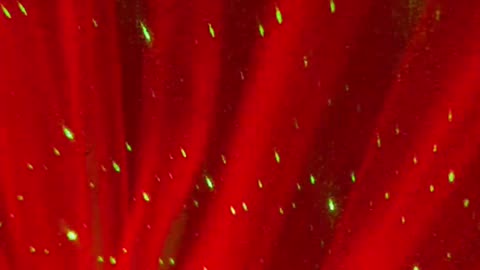 ✨The Low Tech Playlist 💿💫