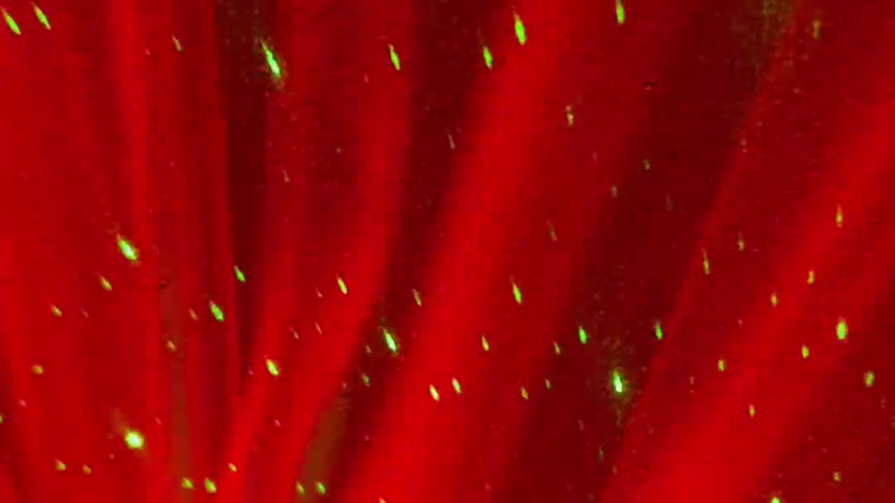 ✨The Low Tech Playlist 💿💫