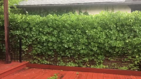 It is raining, rain sounds are perfect for meditation