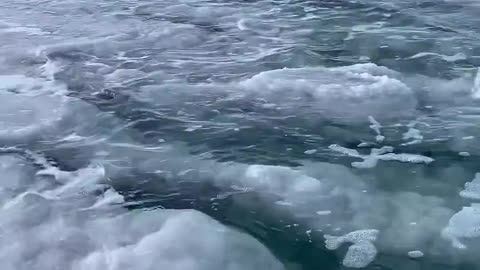 Mar morto onde é impossível afundar