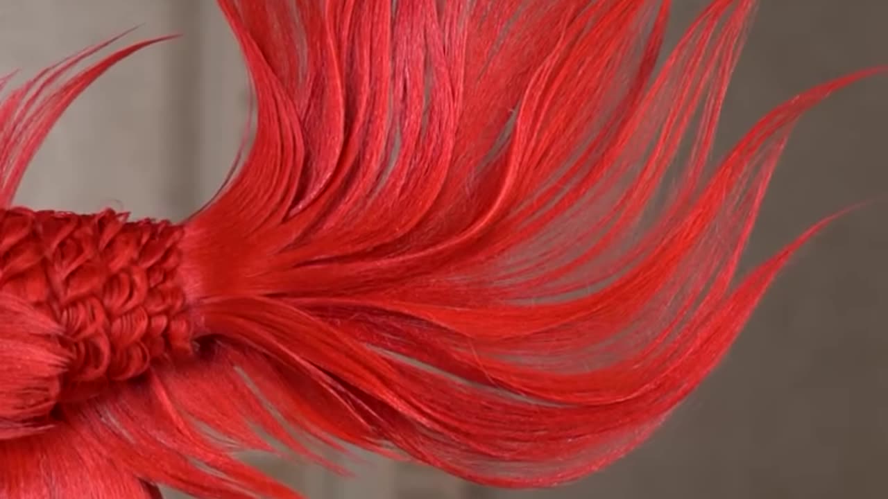 Hairstyles Art