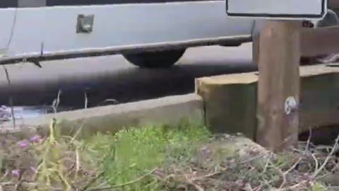 Mobile Video Attempt