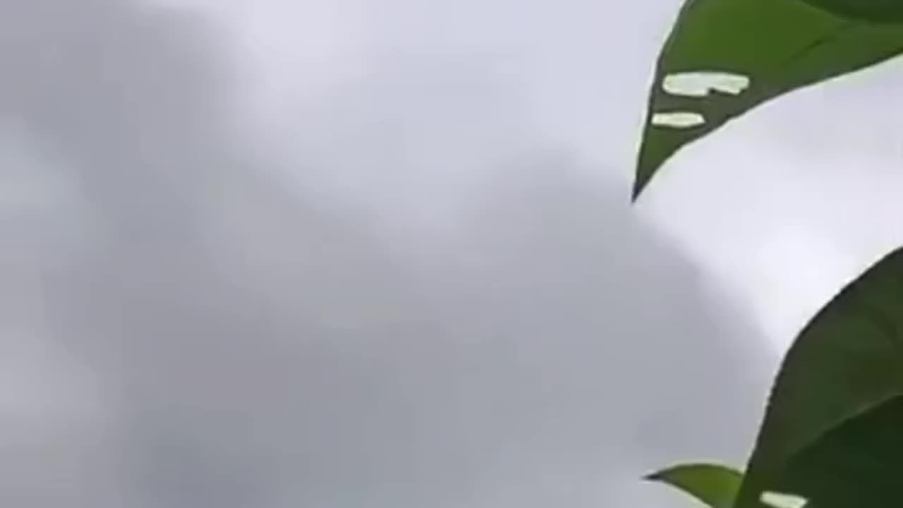 Disidencias de las Farc recuperan terreno en el Catatumbo y van por El Tarra
