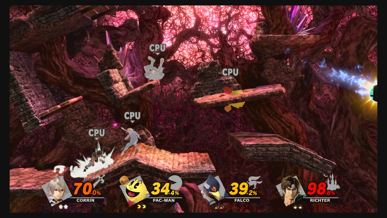 Super Smash Bros Ultimate Battle217