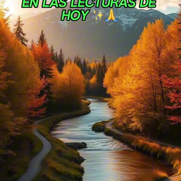 🙏✨Oración Inspirada en las Lecturas de Hoy ✨🙏