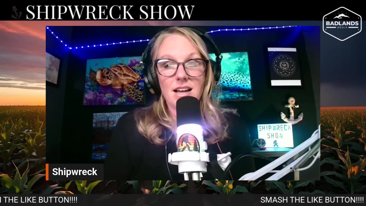 Shipwreck Show - Swear Jars, Skittles, and the State of the Union 6-4-25