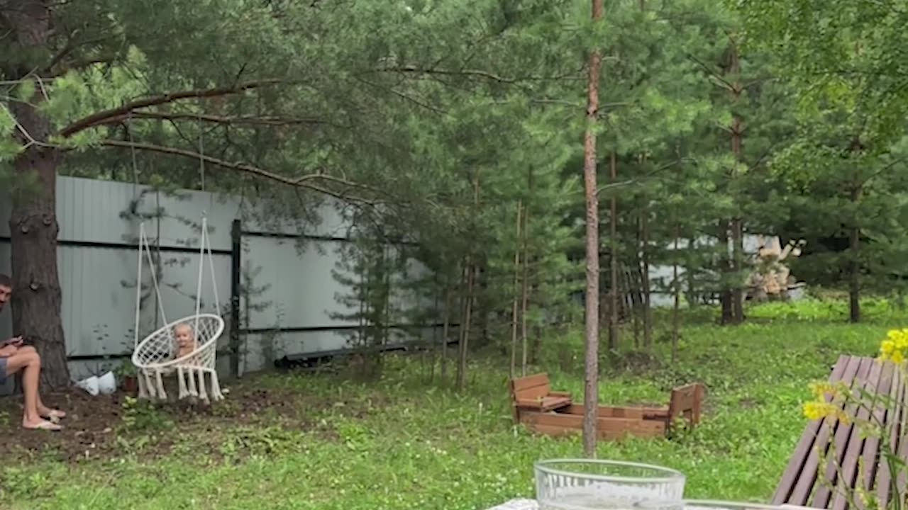 The Fox Treated the Cat to Breakfast