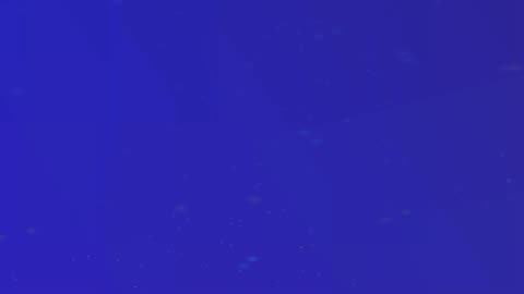 Neptune & Triton, Op 309