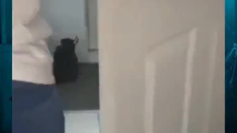 👻😨 Paranormal Activity Caught on Camera! What Lurks in the Shadows? | TheHauntingHour