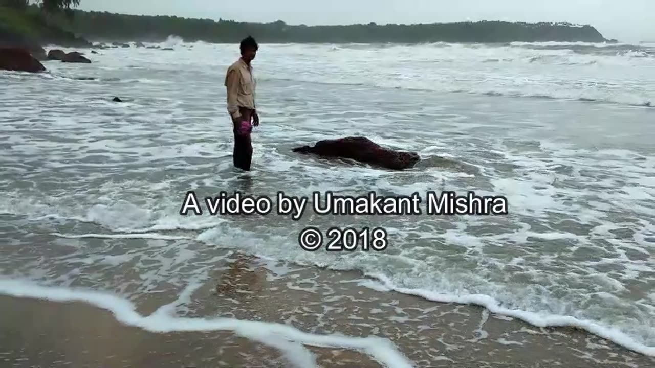 Cabo De Rama Beach South Side view- Goa Travel Vlogs