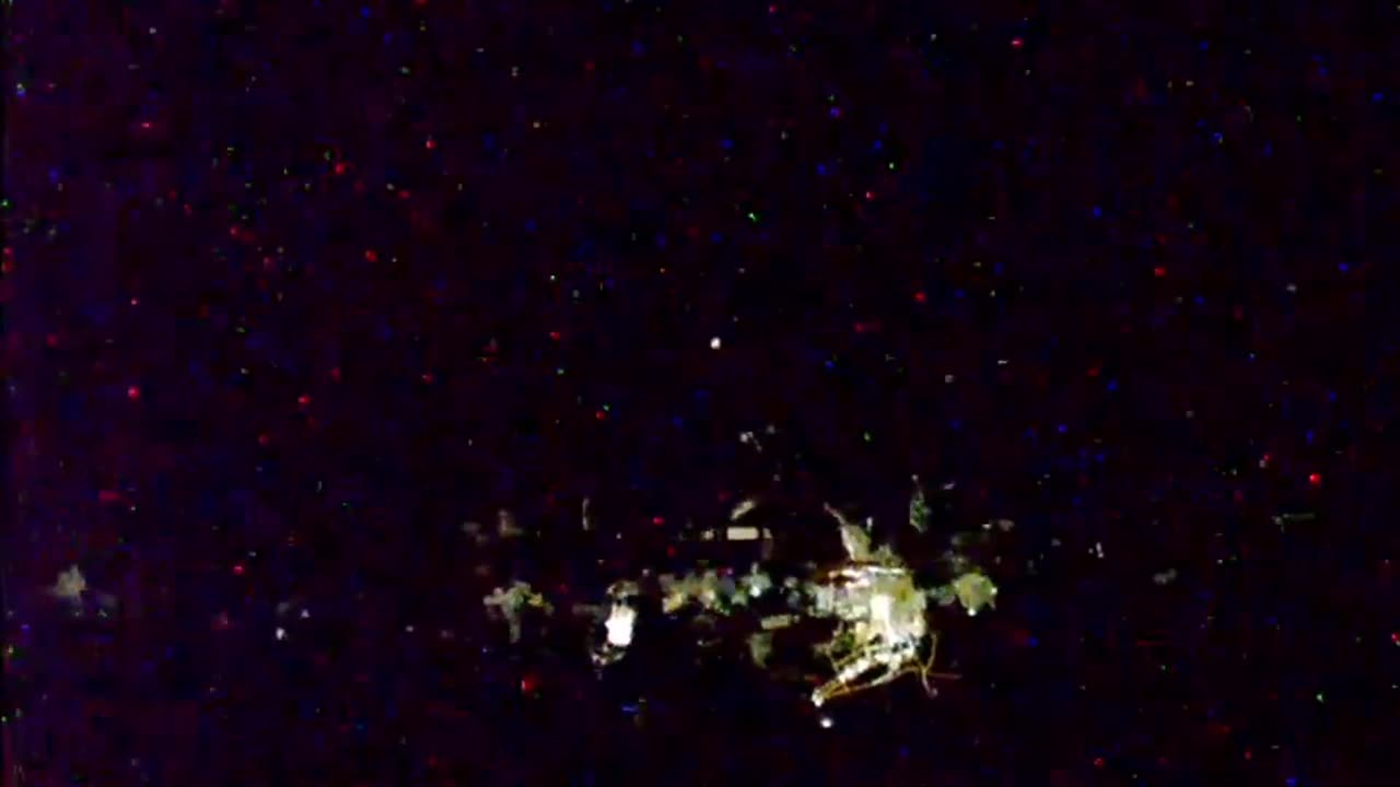 Images choquantes ! Une étrange créature volante a été aperçue.