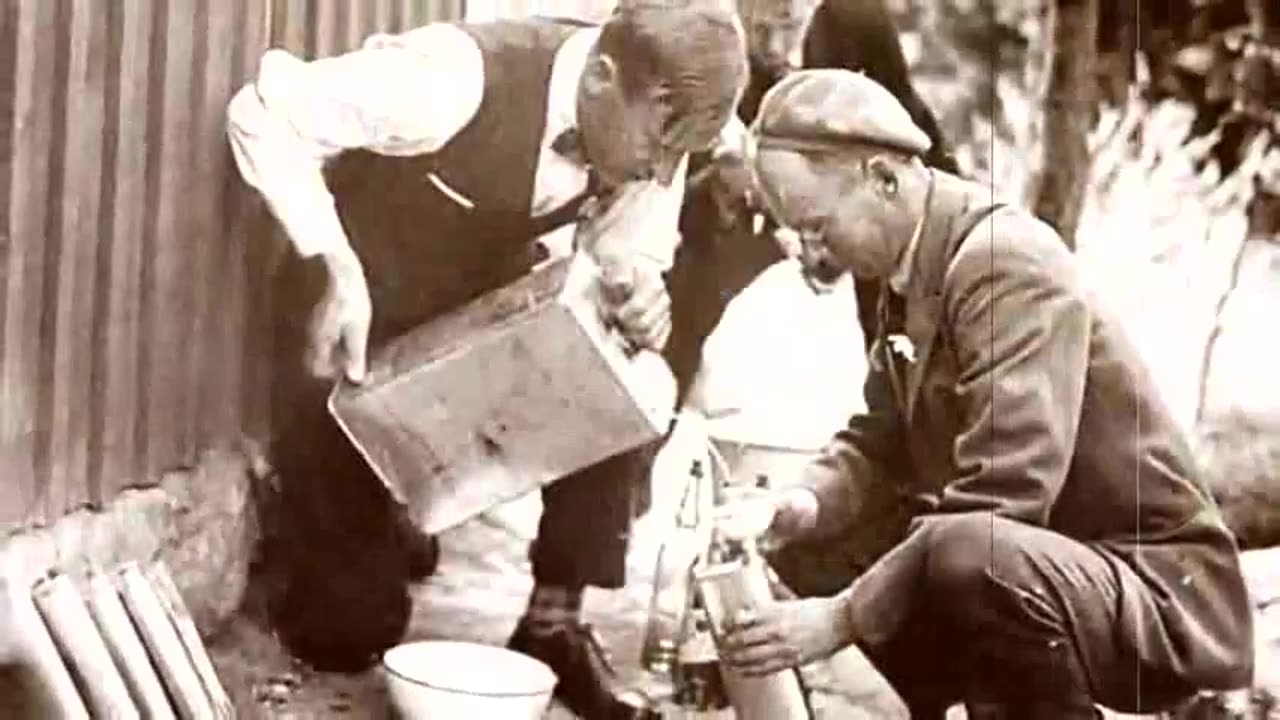 The Promised Land of Organized Crime