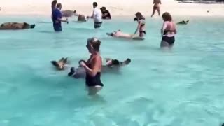 Women are safe here.