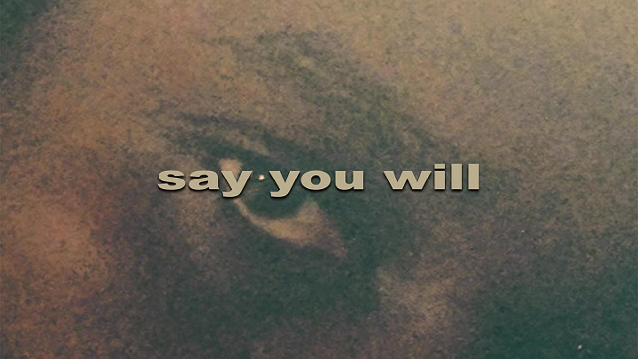 N.o.t Vince - Say You Will (Official Audio)