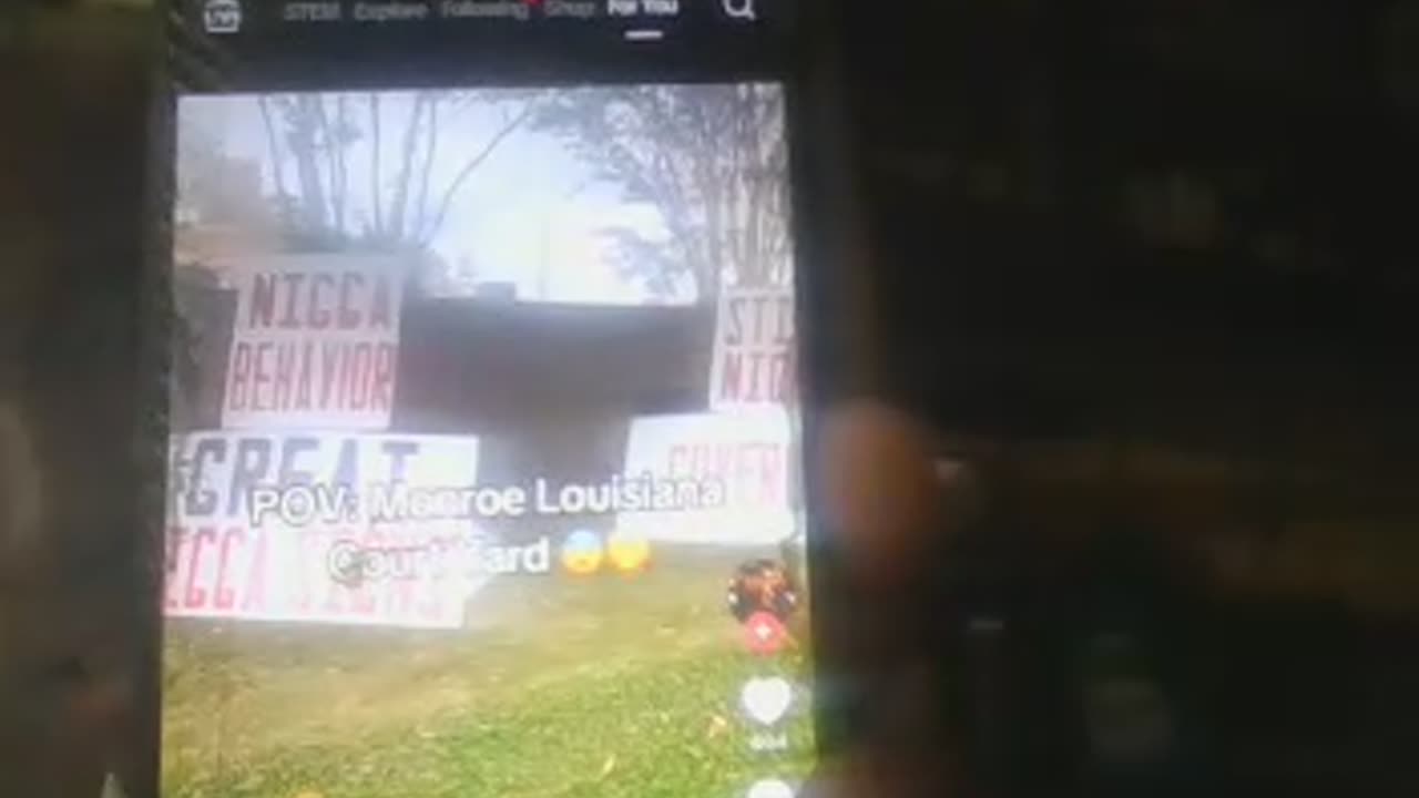 WILL THE REAL NIGERS STAND UP! IRISH PALE BEAST, THAT IS YOU