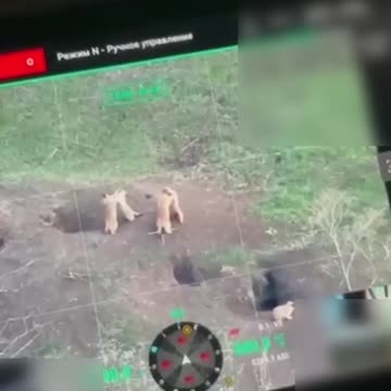 Another War in Eastern Ukraine Between Rival Groundhogs